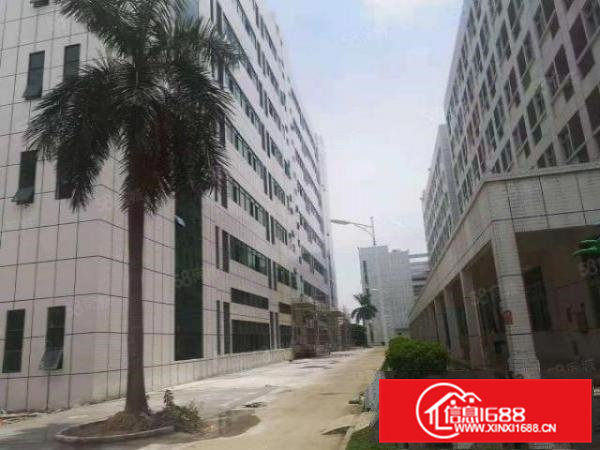 桥头镇原房东厂房出租10万平,3205平起租上市公司的!