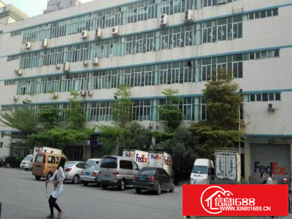 布龙路地铁口新出2/3楼单层2100㎡带豪华装修租