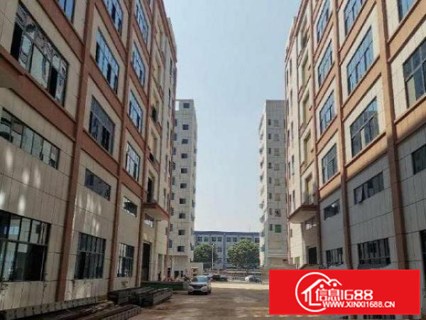 常平红本工业豪华装修厂房1000㎡起租，位于工业聚集地