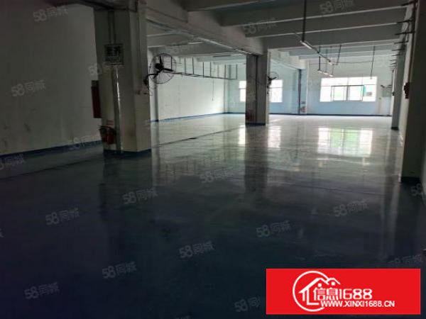 新田五楼500平方，带装修，厂房出租