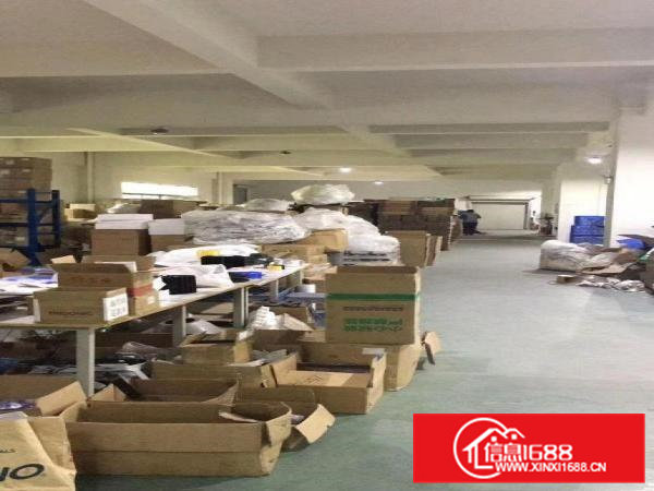 大朗镇独门独院厂房出租原房东