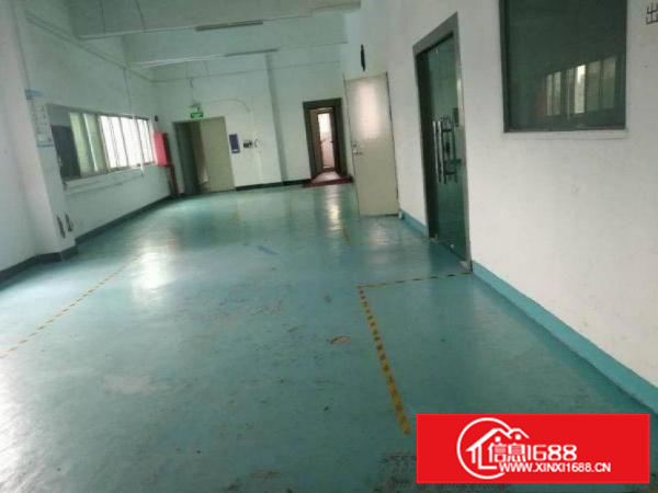 田头社区新出原房东独院厂房804平招租空地大