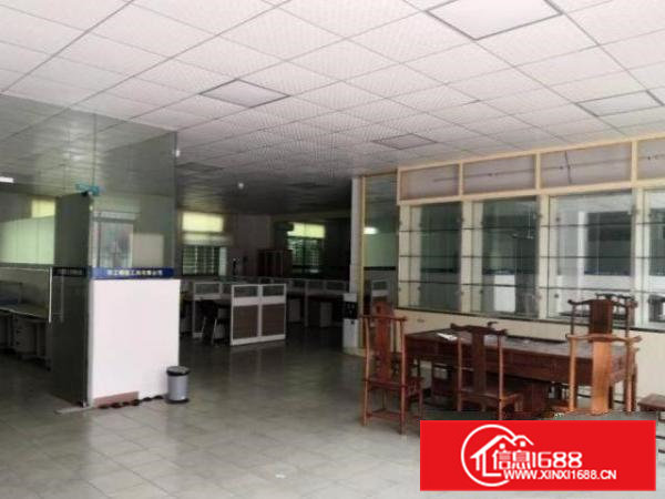 清溪罗马村新出1楼500平方，办公室装修可出租