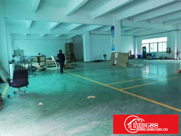 龙岗中心城新生社区新出标准厂房一楼仓库1250平方。可分租