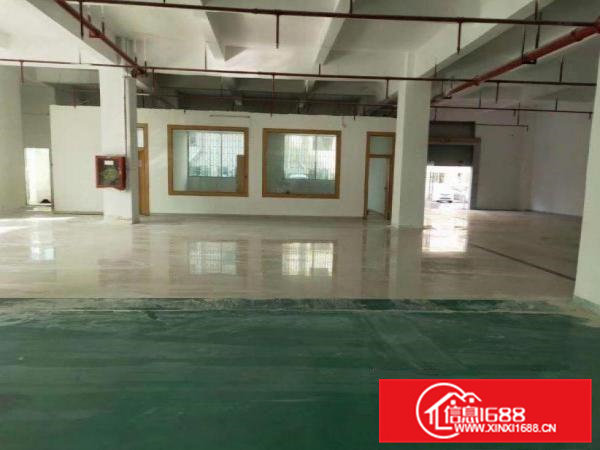 出租大朗镇水平新出（原房东豪华装修带环评）一楼1350平