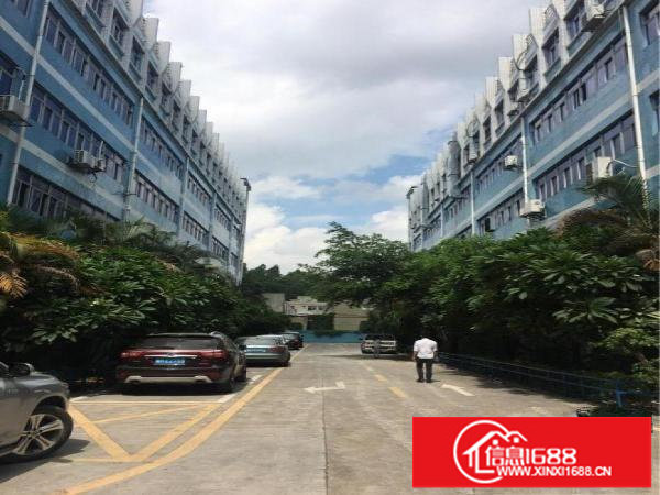 横岗地铁站花园式厂房2000平米厂房带装修出租