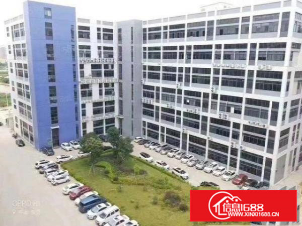 出租1000平，精装修，形象佳，位置好，交通方便，价格优惠