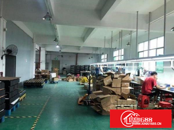 新谷涌原房东一楼厂房出租600平，带环评