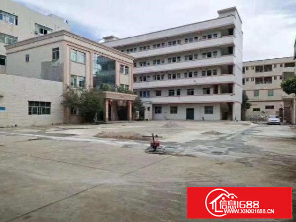 清溪新出独门独院厂房