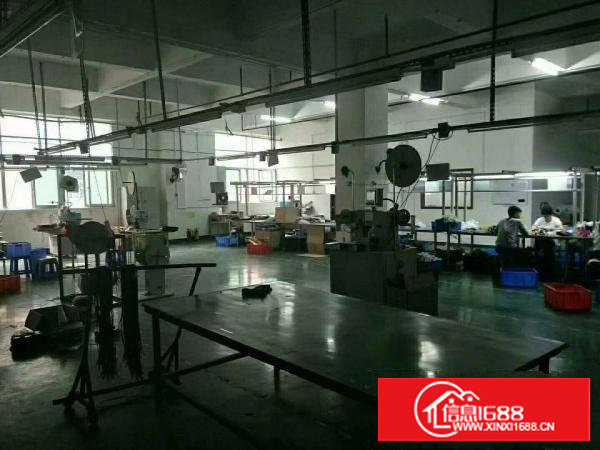 长安即将空出楼上带装修500平方厂房招租