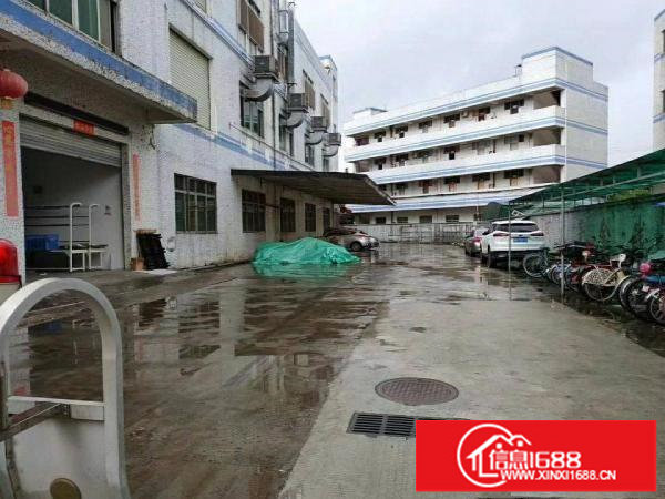 龙岗爱联嶂背带装修地坪漆独院出租厂房加宿舍6000平方