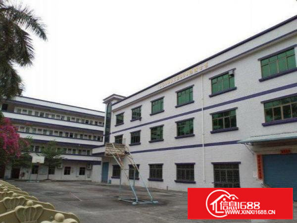 洋坑塘原房东小独院标准厂房1200平米包办环评