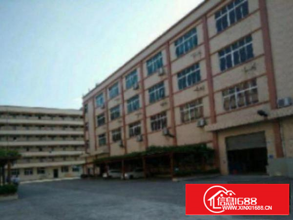 万江石美标准厂房分租1300平方出租厂房形象漂亮，适合做轻工