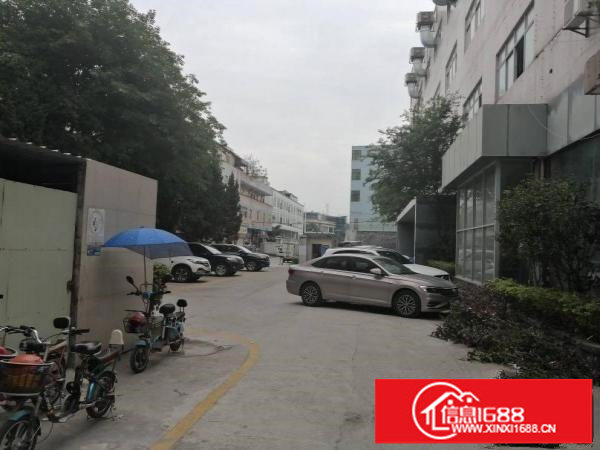 横岗安良新出楼上带装修整层1680平出租