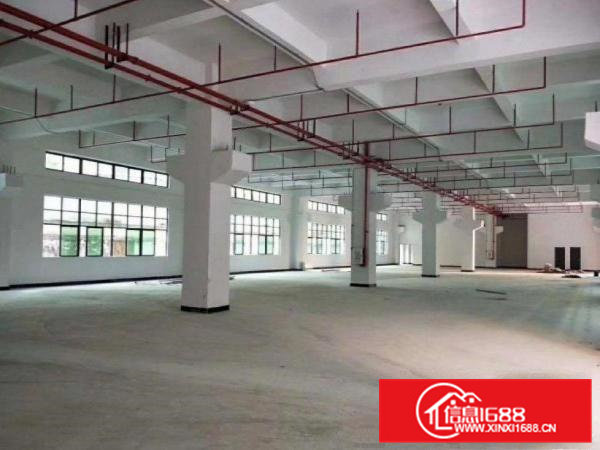 旧村标准厂房一楼1200平，形象好