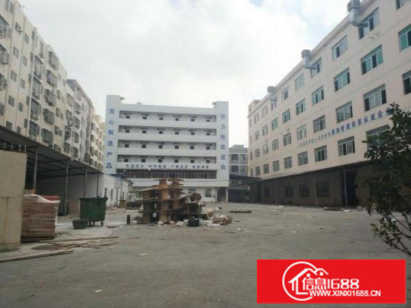 龙岗带红本独门独院厂房13000平米整租19元平米