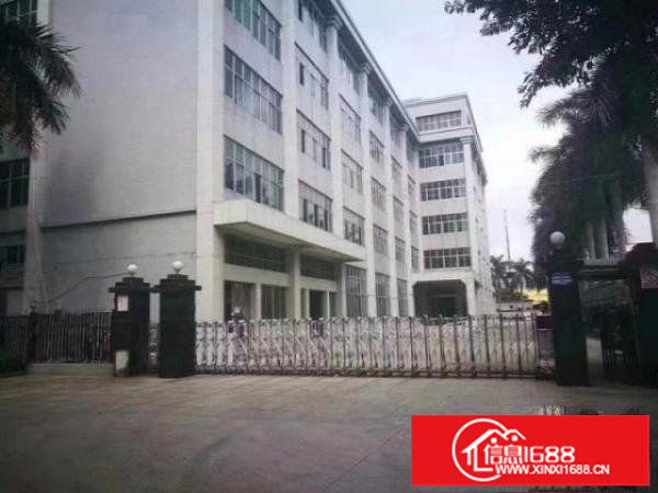 龙岗红本独院总面积12800平方一楼6米高大小分租