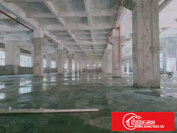 凤岗五联全新厂房一楼3800平出租，可分租