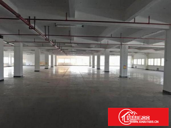 清溪楼上(精装修)厂房出租2050平皮具手袋纸箱电子