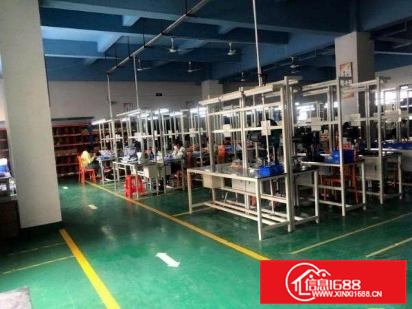 出租高埗镇横滘头标准独院3300平，现成装修水电