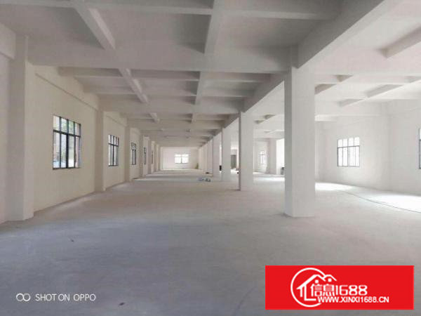 樟木头镇原房东全新厂房实际面积9000平方出租可分层租