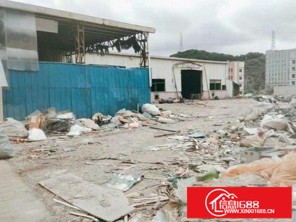 凤岗工业区新出5200平钢构