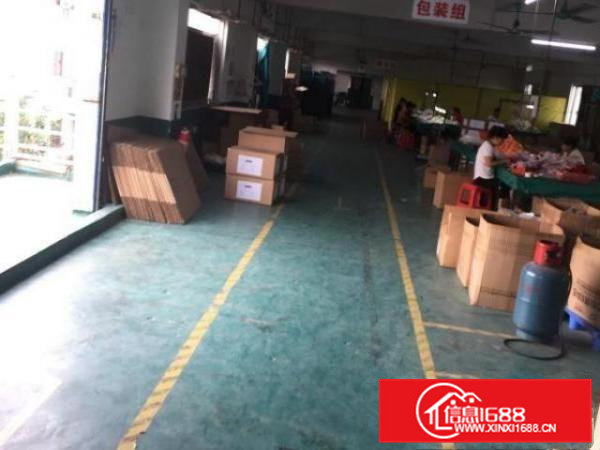 桥头石水口岭厦村厂房800平米