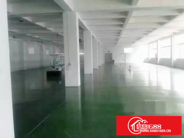 高桥独院三层厂房3000平米13元