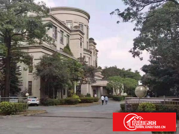 物流园/快递仓库/大坪房东直租20000平方米单一层独院厂房