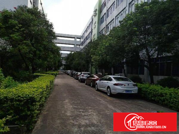 多彩厂区出租/高速路口