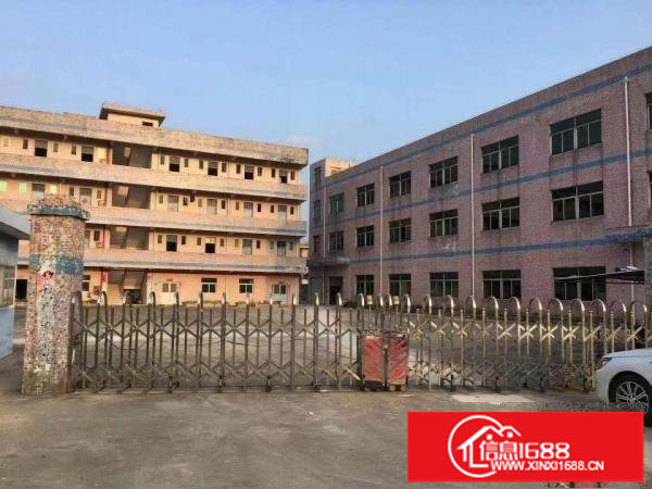 坪地新出原房东独院5400平厂房出租带装修水电