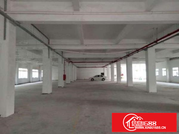 坑梓金沙一楼厂房1390平米出租