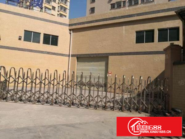 塘厦林村单一层独院厂房2000平方，高度8米，交通便利