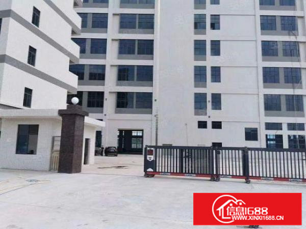 大宁全新厂房招租，房东免租期长，条件可谈，600平起租