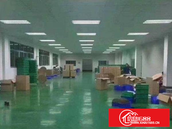 高埗标准厂房一楼800平，精装修办公室，可办环评