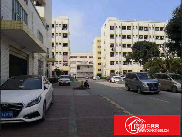 坪山石井村新出2楼精装修厂房1300平米，可分租