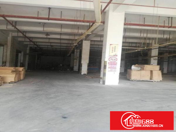 坪山坑梓大型工业园红本厂房一楼2楼各2000平出租