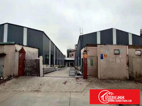 桥头镇新出独门独院厂房招租