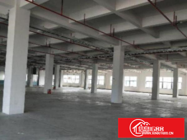 高埗标准厂房楼上2楼2000平方带办公室装修出租合做制衣、电