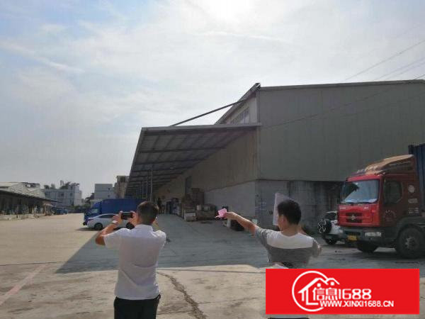 出租龙岗区横岗大型物流园6500平.空地1万带卸货平台。