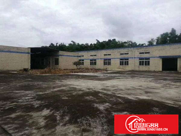 惠东县白花新出钢结构厂房行业无限钢结构厂房3220平方出租