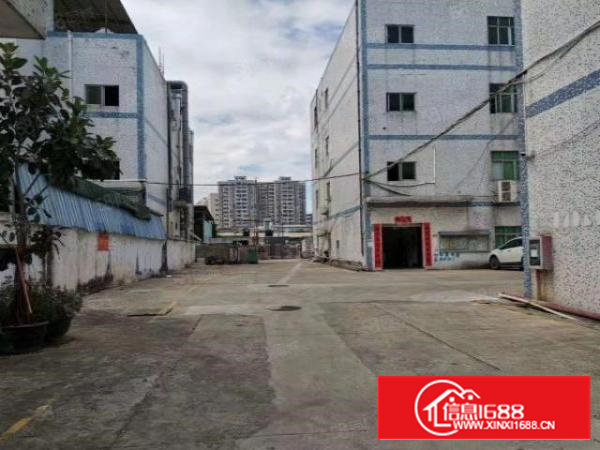 沙井大王山新出两层独院一楼2500二楼2500平大小分组。