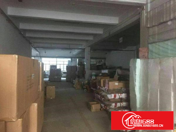 横沥镇新出550标准一楼独院厂房