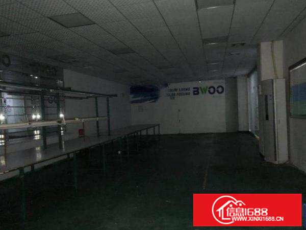 惠阳新墟原房东独院！证件齐全，电过户！空地1:1！形象一流