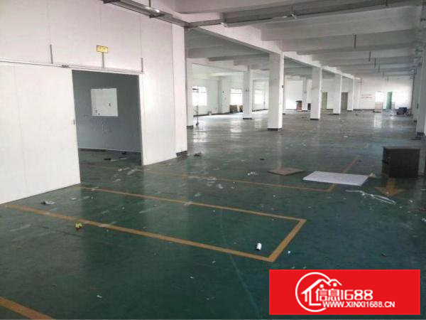 清溪镇新出标准一楼900平方出租