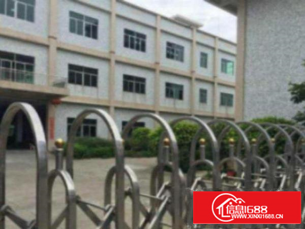 万江简沙洲工业园新空出标准2楼1300平方出租