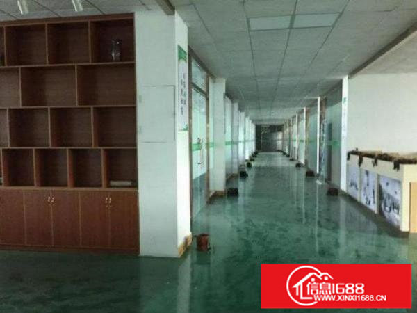 观澜松元原房东分租楼上带精装修1500平方