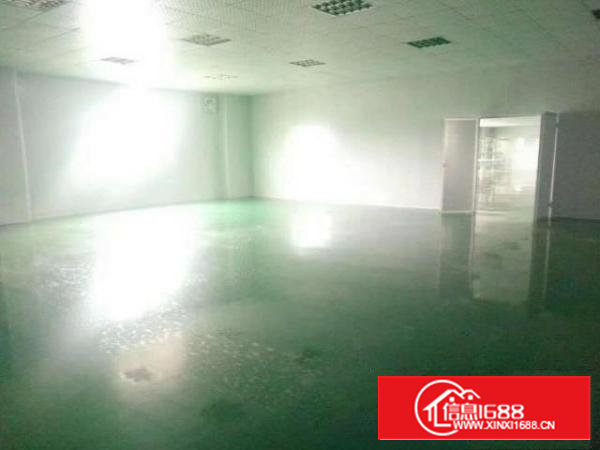 沙井黄埔润和工业园1至3楼各1200平米厂房原房东直租精装修