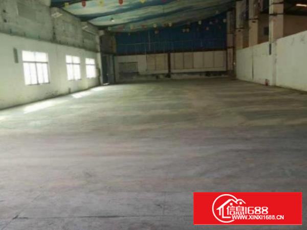 宝安石岩伟泰工业园2400平丶一楼钢构厂房（红本丶房东直租）