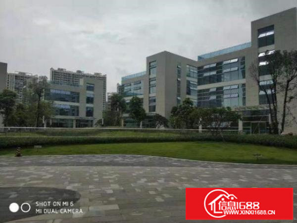 布吉李朗原房东1万平方整栋出租可分租或整租有红本带消防喷淋